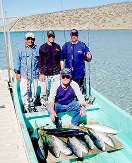 Baja Midriff Mexico Fishing Photo 1
