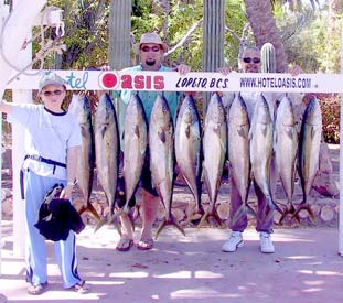 Loreto Mexico Fishing Photo 2