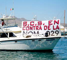 Cabo San Lucas Mexico Fishing Protest Photo 1