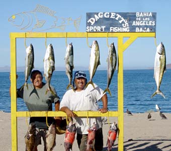 Bahia de los Angeles Mexico Fishing Photo 5