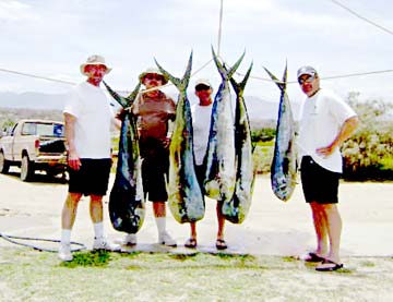 East Cape Mexico Fishing Photo 1