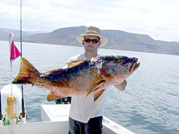 Mulege Mexico Spearfishing Photo 1