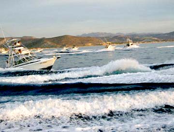 East Cape Mexico fishing photo