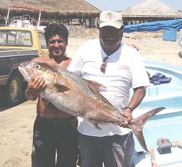 Cabo San Lucas Mexico Fishing Photo 5