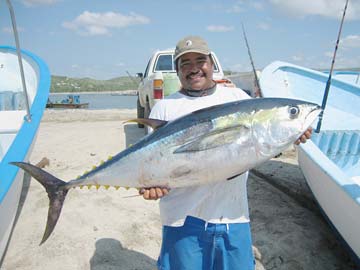San Jose del Cabo Mexico Tuna Fishing Photo 1