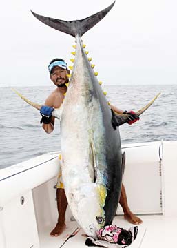 Puerto Vallarta Mexico Giant Tuna Fishing Photo 1