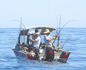 Magdalena Bay Mexico Thetis Bank Fishing Photo 1