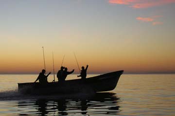 Isla Cedros Mexico Fishing Photo 3