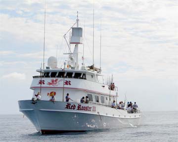 Baja Mexico Red Rooster III Fishing Photo 1