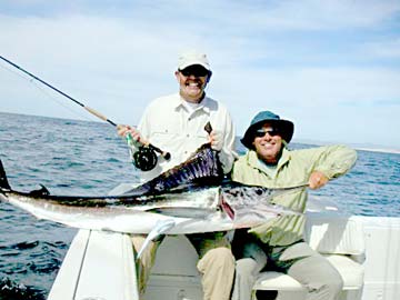 Cabo San Lucas Mexico Marlin Fly Fishing Photo 1