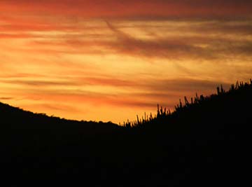 Baja Mexico Sunset Photo 1
