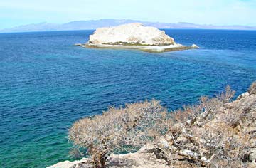 Baja Mexico Isla Alcatraz Photo 1