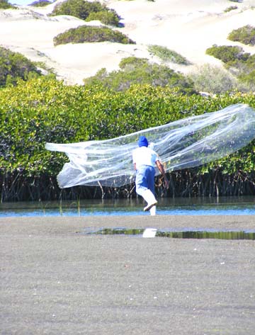 Magdalena Bay Mexico Bait Castnet Photo 1