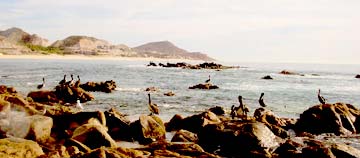 San Jose del Cabo Mexico Surf Fishing Spot Photo 1