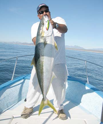 San Jose del Cabo Mexico Panga Fishing Photo 2