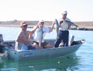 Cabo La Costilla Mexico Corvina Fishing Photo 1