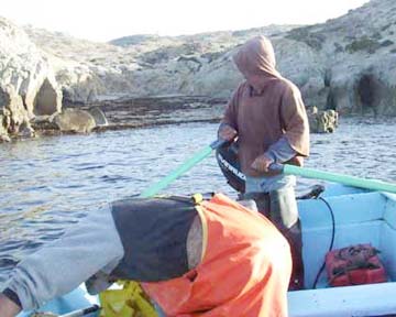 Isla San Roque Mexico Abalone Diving Photo 1