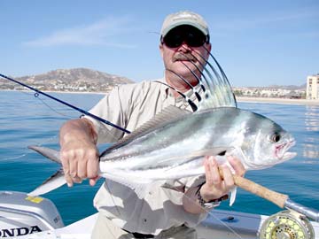 Cabo San Lucas Mexico Roosterfish Photo 1