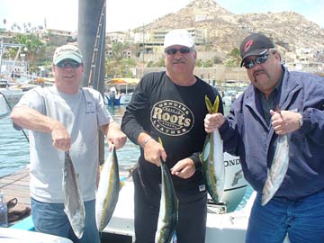 Cabo San Lucas Mexico Yellowtail Fishing Photo 1