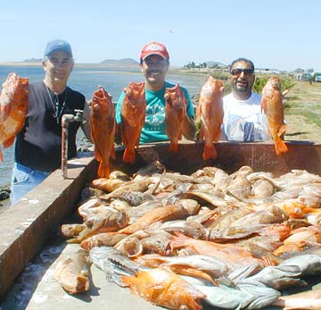San Quintin Mexico Bottom Fishing Photo 1