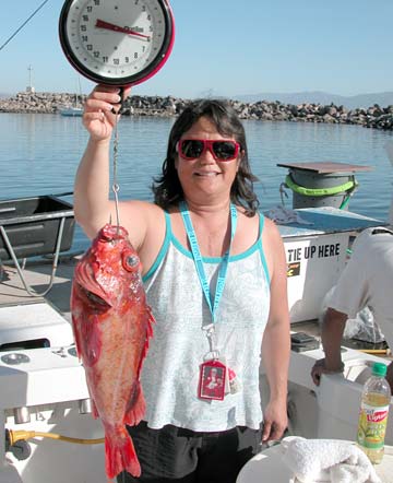 Ensenada Mexico Fishing Photo 1