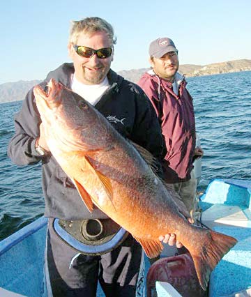 La Paz Mexico Dog Snapper Photo 1