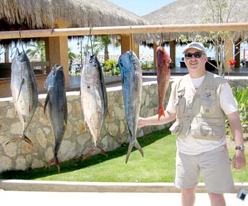 Fish caught at San Jose Del Cabo, Mexico.