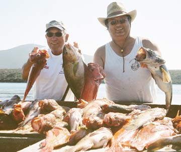 Fillet table of fish caught at San Quintin, Mexico.