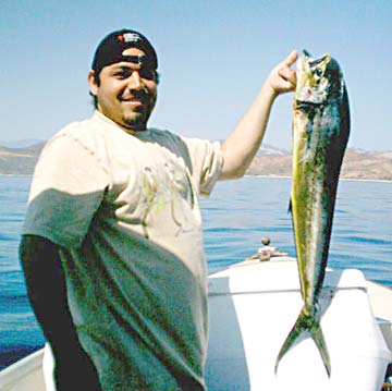 Mahi mahi caught in fishing at East Cape, Mexico.