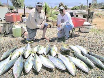 Yellowtail fishing at Ensenada, Mexico. 1