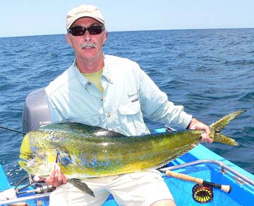 Dorado caught in fishing at La Paz, Mexico.