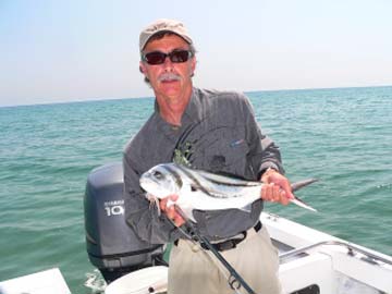 Roosterfish caught at East Cape, Mexico.