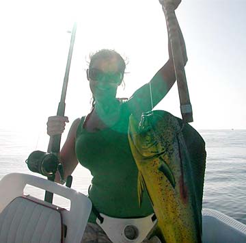 Dorado fishing at Loreto, Mexico.