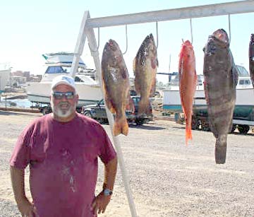 Fishing tournament winning cabrilla at Rocky Point, Mexico.