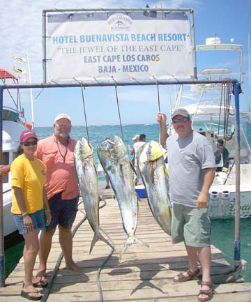 Three dorado caught at Hotel Buena Vista Beach Resort, Mexico.