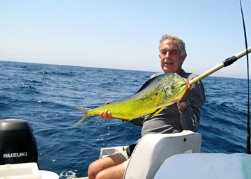 Dorado caught at Punta Chivato, Mulege, Mexico.