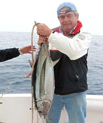 Albacore tuna caught off Baja California, Mexico.
