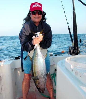 Yellowfin tuna caught off Baja California, Mexico.