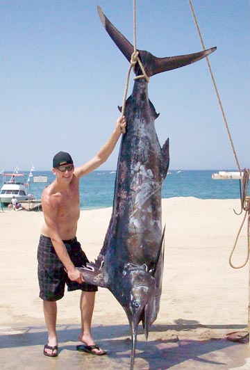 Blue marlin caught at Buena Vista Beach Resort, Mexico.