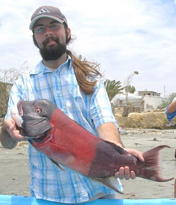 Baja fishing photo 1