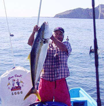 Bahia de los Angeles, Mexico fishing photo 4 of Rafael Cuevas.