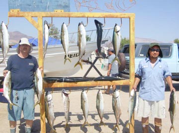 Bahia de los Angeles, Mexico fishing photo 1