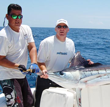 Marlin release at East Cape, Mexico.