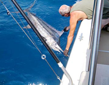 San Carlos, Mexico fishing photo 1