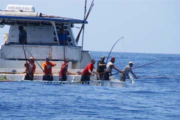 Mexico coast fishing photo 1