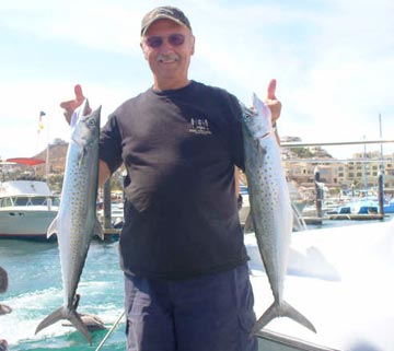 Sierra mackerel caught at Cabo San Lucas.