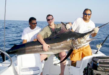 Black marlin caught at Ixtapa Zihuatanejo.