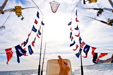 Cabo San Lucas marlin flags