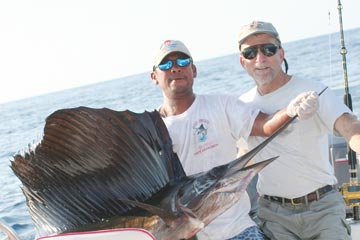 Ixtapa sailfish release.