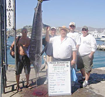 Marlin caught for mounting at Cabo San Lucas.
